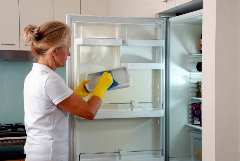 Как устранить запах в морозильной камере холодильника: чем убрать быстро из морозилки, 10 способов избавиться подручными и 3 совета профессиональными средствами