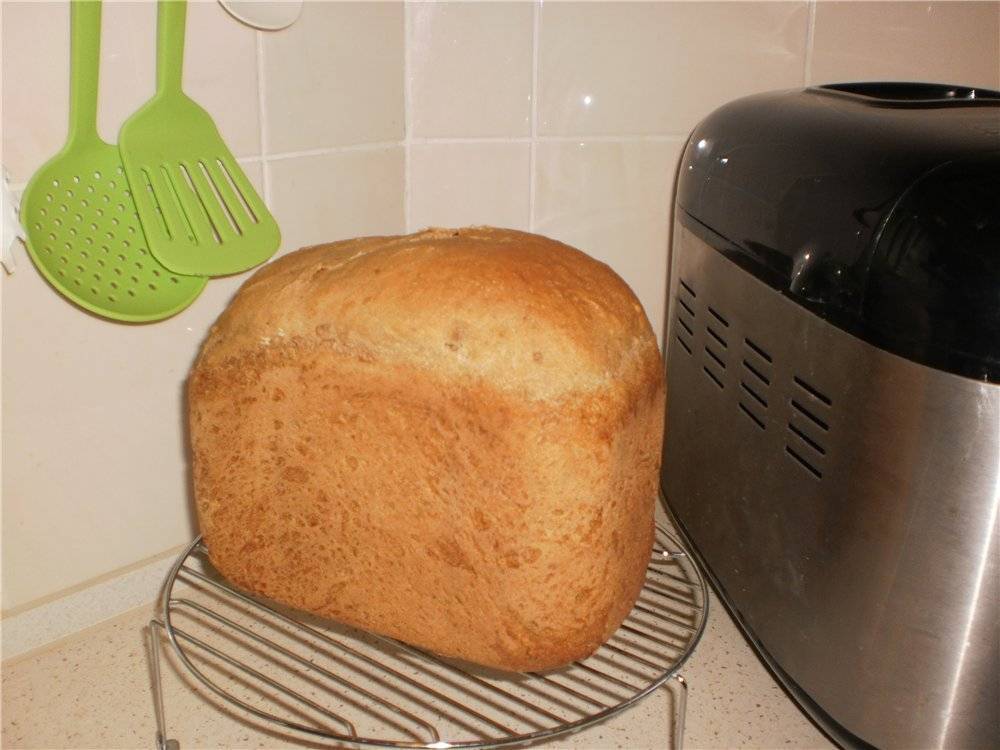 Как и какую выбрать хлебопечку для дома — советы для выгодной покупки