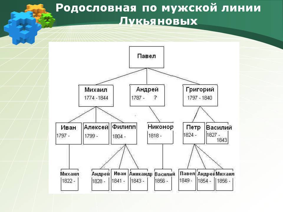 Родословная в числах. Родословная по мужской линии. Генеалогического дерева по мужской линии. Генеалогическое Древо по женской линии. Проект родословная по мужской линии.