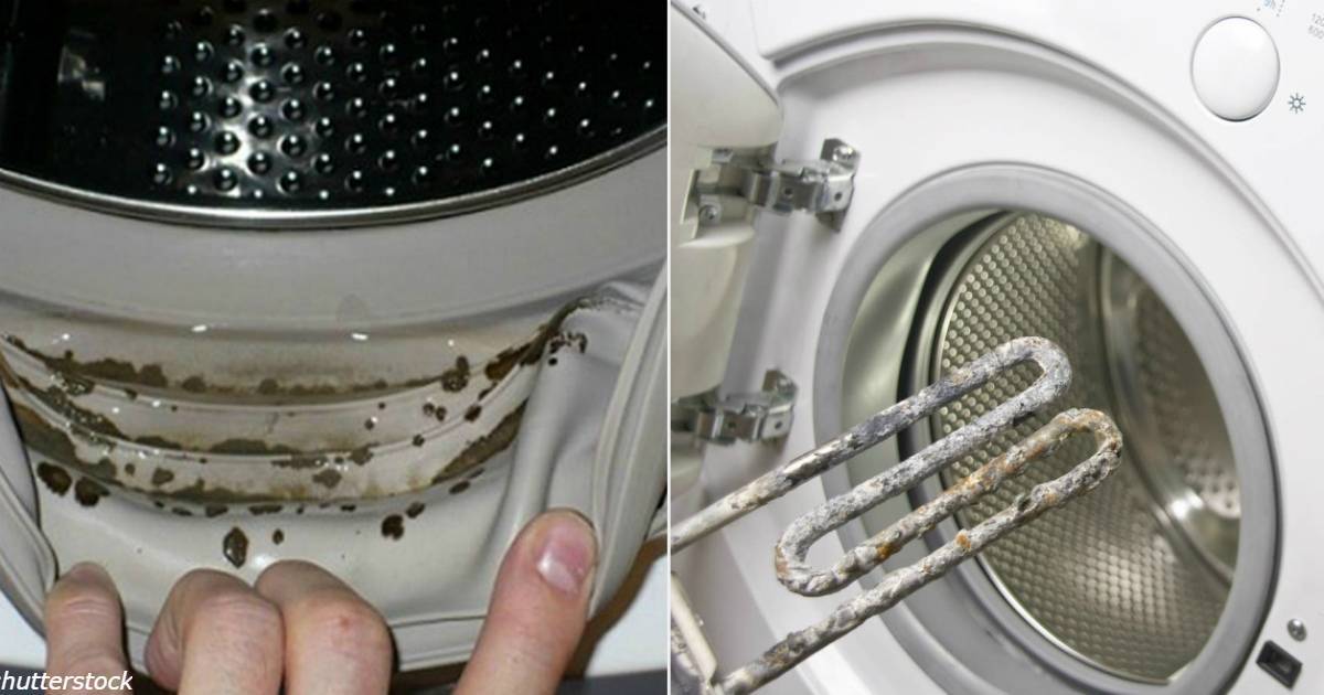 Как очистить стиральную машину от накипи: отзывы, профилактика