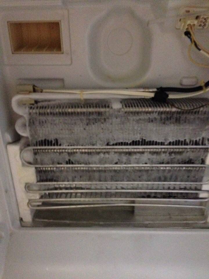 Что делать если холодильник сильно морозит или не морозит вовсе