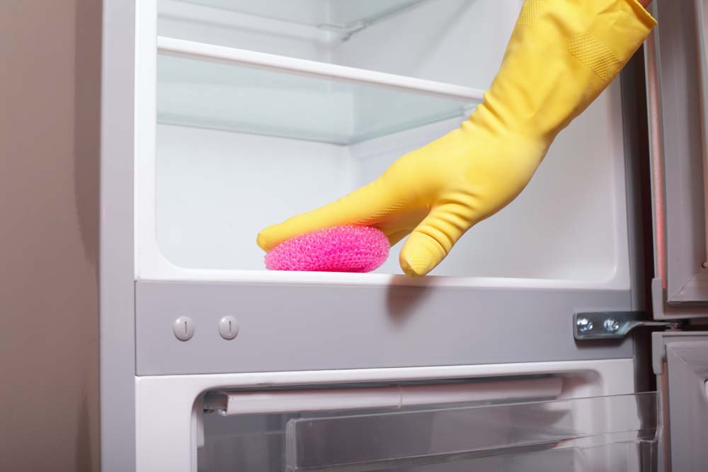 Чем мыть холодильник внутри: инструкции (от запаха, после разморозки, новый перед включением), дезинфекция холодильных камер, как помыть снаружи