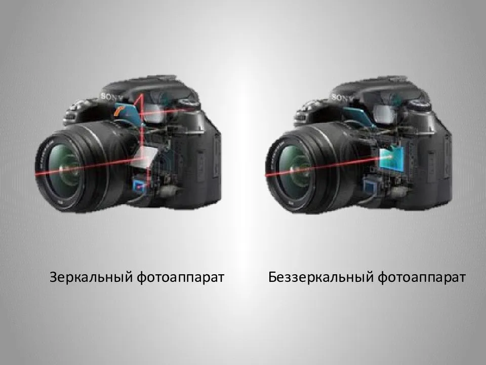 Отличие зеркального фотоаппарата от беззеркального: 5 параметров
