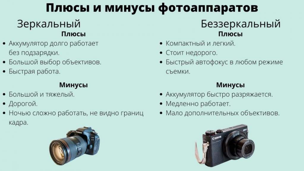 Как выбрать фотоаппарат? рейтинг фотоаппаратов и отзывы. как выбрать зеркальный фотоаппарат? как выбрать цифровой фотоаппарат? :: businessman.ru