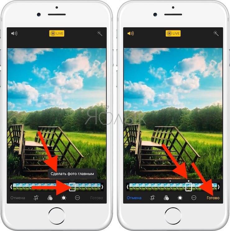 Live Photos в iOS — Как Включить и Отредактировать живые фото на iPhone