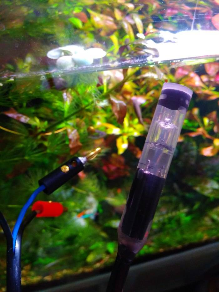 Обогреватель для аквариума: нагреватели с терморегулятором, как выбрать, сделать своими руками