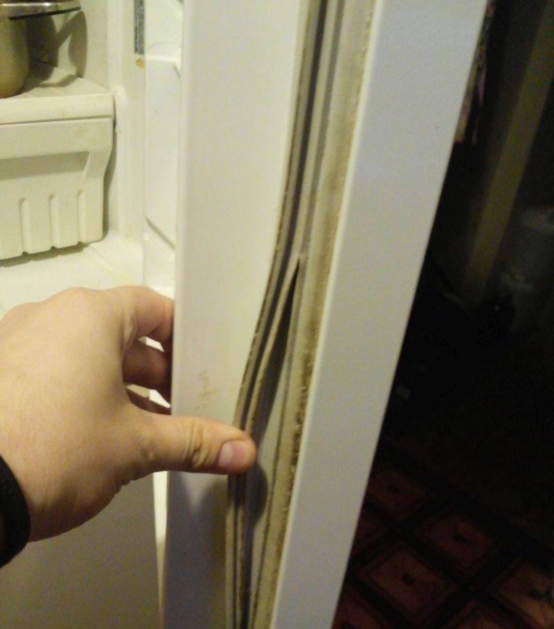 Не закрывается дверь холодильника, что делать, как найти причину и ее устранить