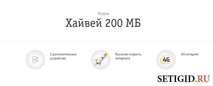 Включите номер 5. Подключить Хайвей 200. Интернет Опция Хайвей Билайн что это. Хайвей 200 МБ Билайн. Тариф Билайн Хайвей 20 ГБ.