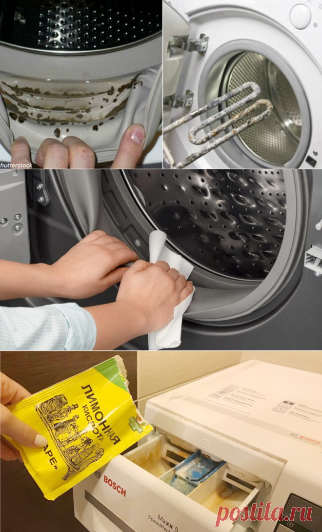 Чем почистить стиральную машину: 120 фото и видео как быстро и эффективно отмыть стиралку