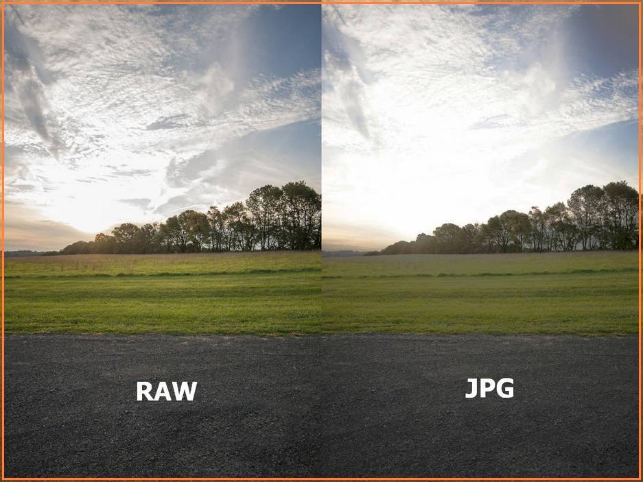 Raw vs jpg. выбираем формат фотографии