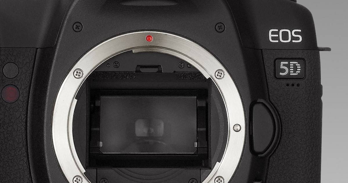 Как проверить бэушный пленочный фотоаппарат перед покупкой | блог бондарь андрея