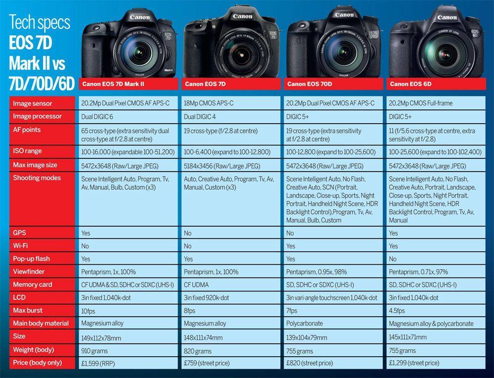 Рейтинг лучших профессиональных фотоаппаратов: какой выбрать, плюсы и минусы, отзывы