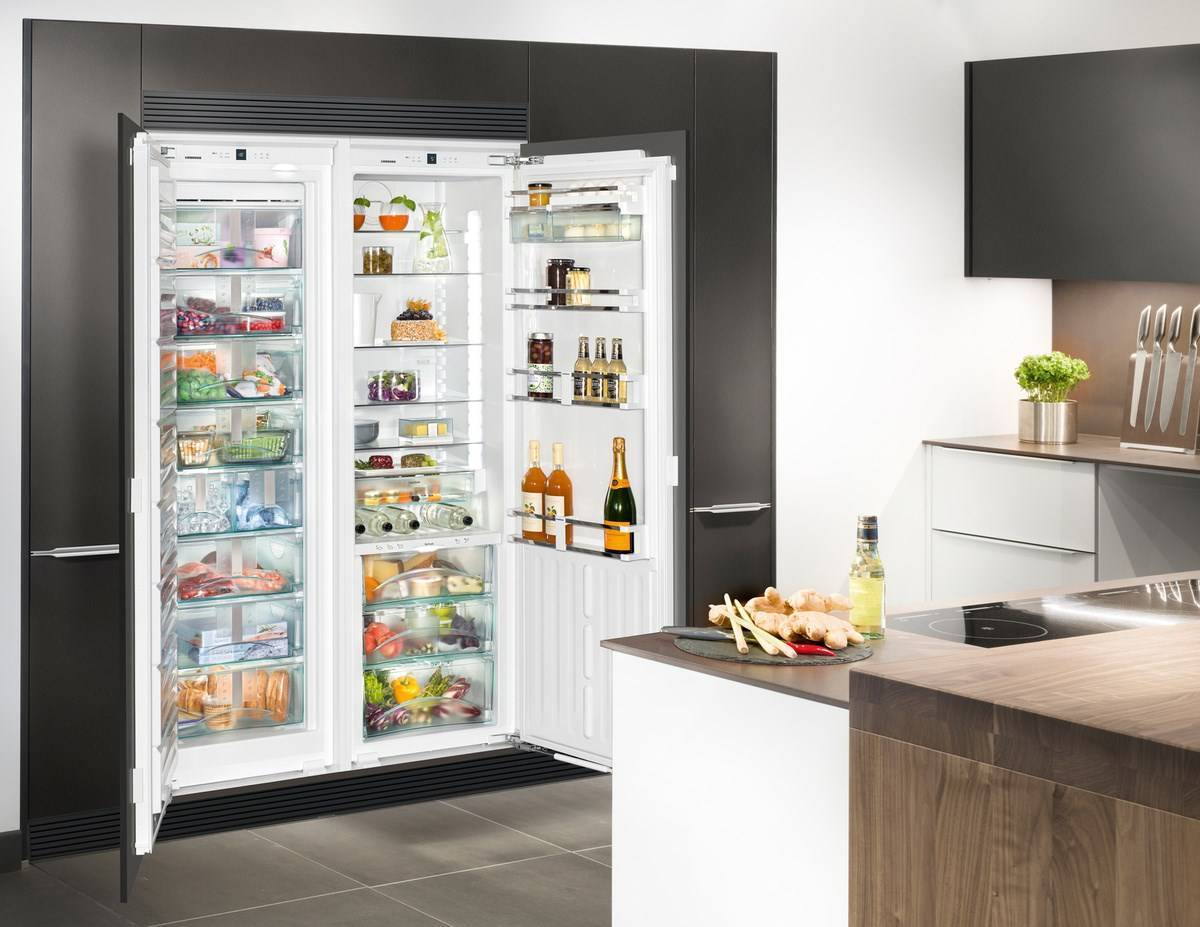 ❄️ как выбрать холодильник: удачно и недорого