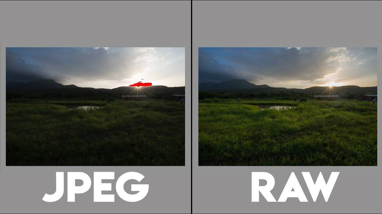 Raw: преимущества формата и как фотографировать в raw формате