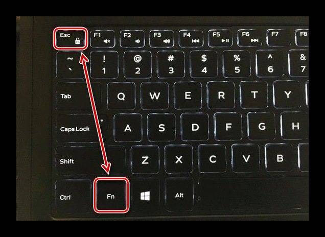 Топ-5 способов отключить клавиатуру на ноутбуке с инструкциями