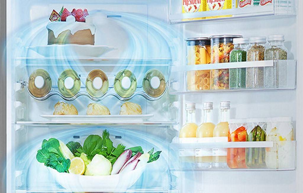 Нужно ли размораживать холодильник с системой ноу фрост: сколько, samsung, lg, indesit, bosch, правильно, двухкамерный, как часто