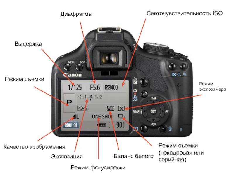 Как ручной режим расширяет горизонты. урок работы с камерой - photar.ru