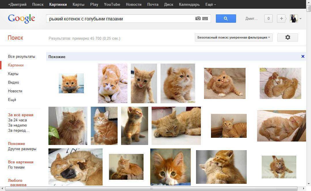 Картинки поиск похожих изображений