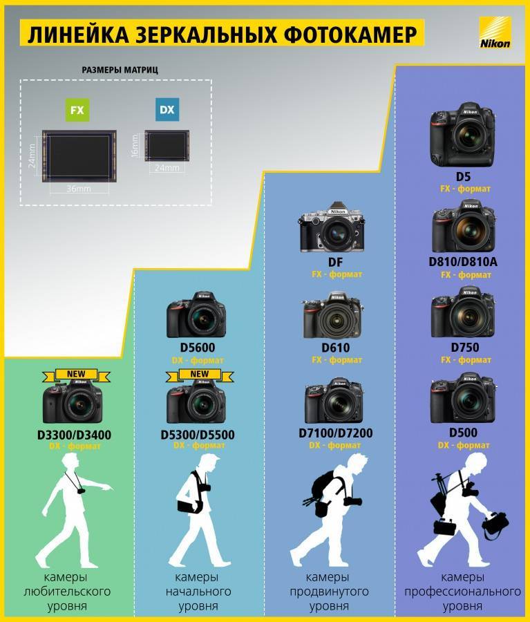 Выбираем зеркальный фотоаппарат начального уровня: canon или nikon