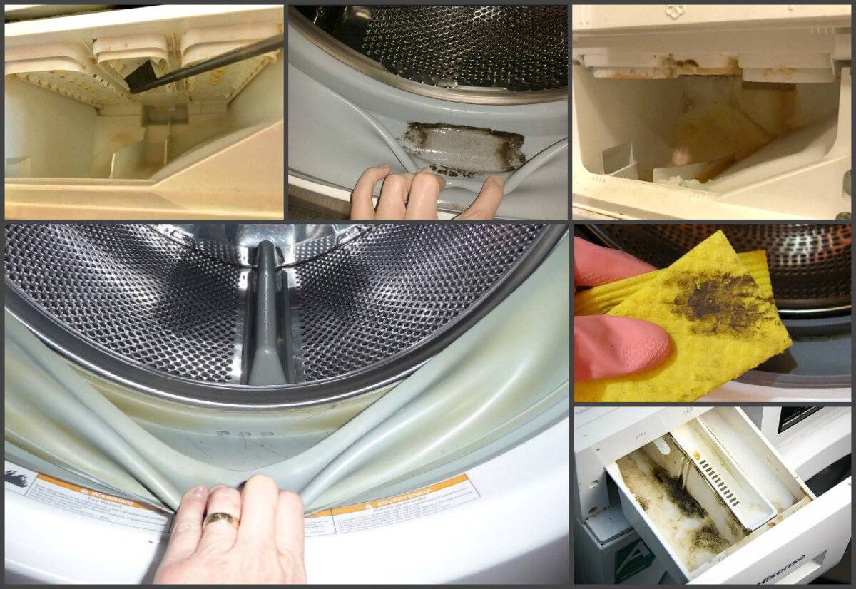 Плесень в стиральной машине и как от неё избавиться навсегда