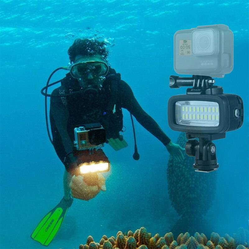 Какой фонарь выбрать для подводной охоты: рейтинг, обзор, критерии выбора - truehunter.ru