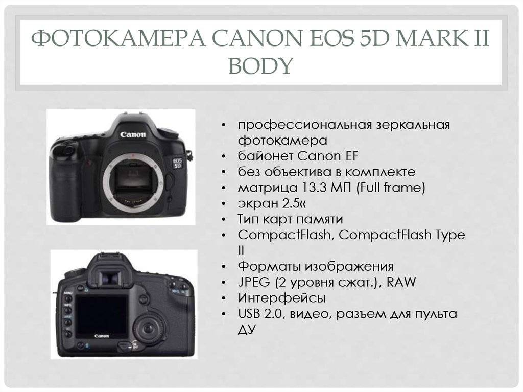 Сравнение фотоаппаратов canon и nikon