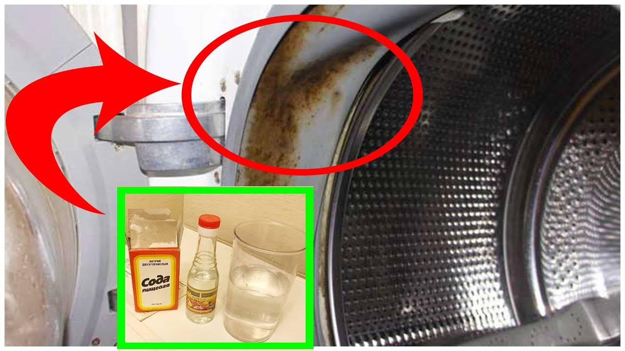 Как правильно почистить стиральную машину от мусора, плесени и неприятного запаха