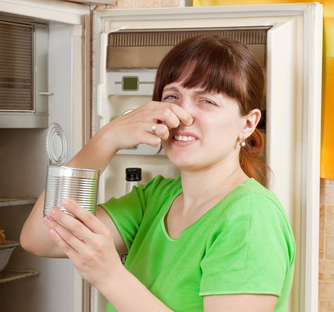 Отмываем холодильник от плесени: 5 способов и 7 готовых средств