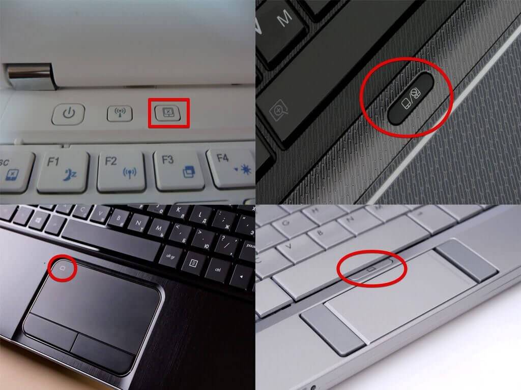 Что делать если не работает мышка на ноутбуке. проблемы с мышкой