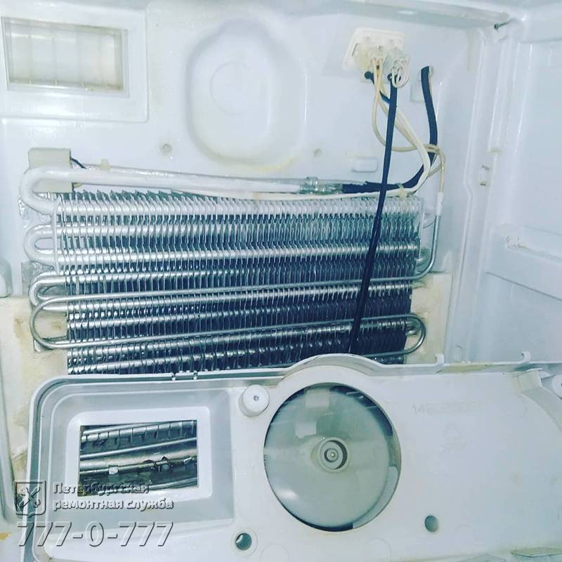 Термопредохранитель холодильника whirlpool как проверить