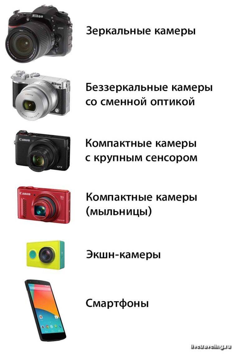 Рейтинг фотоаппаратов для начинающего фотографа 2021 года: топ-20 лучших моделей и какую выбрать