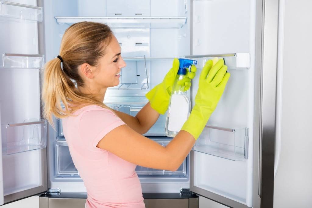 Чем мыть холодильник внутри и снаружи, как почистить после разморозки?