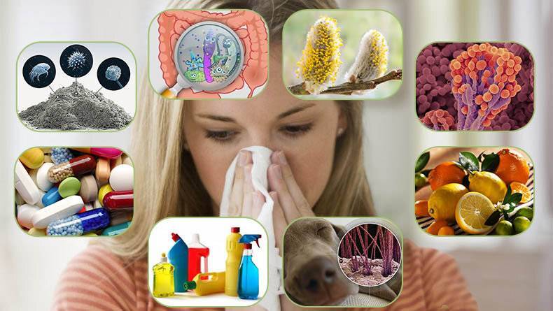 Польза очистителя воздуха для аллергиков и астматиков — домашние советы