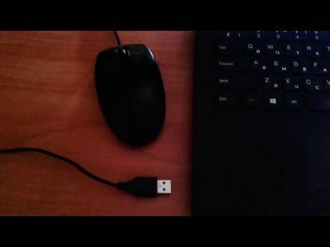 Подключаем беспроводную мышку к пк и ноутбуку