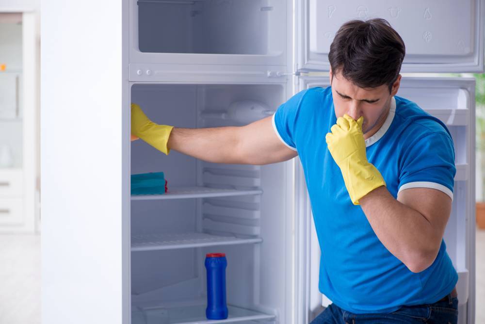 Как избавиться от запаха в холодильнике и предотвратить его появление