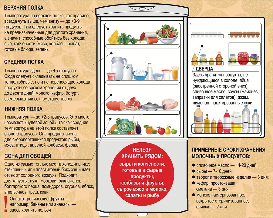 Как правильно хранить продукты в холодильнике, товарное соседство