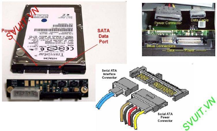 Какая сата. Разъем SATA 3 2.5 HDD. Сата 3 разъем на жестком диске. HDD SATA 3 разъем. SATA 3 разъем SSD.