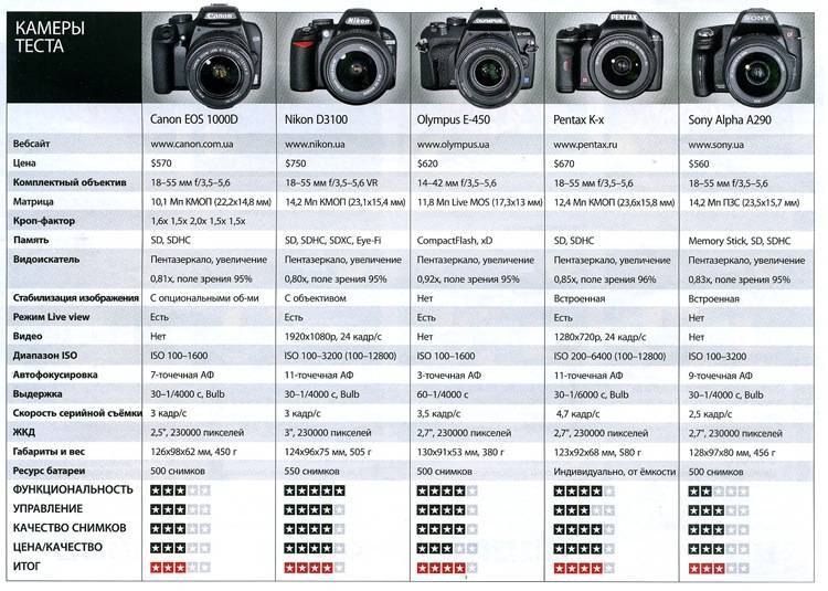 Какой фотоаппарат лучше, canon или nikon: сравнение по ключевым характеристикам