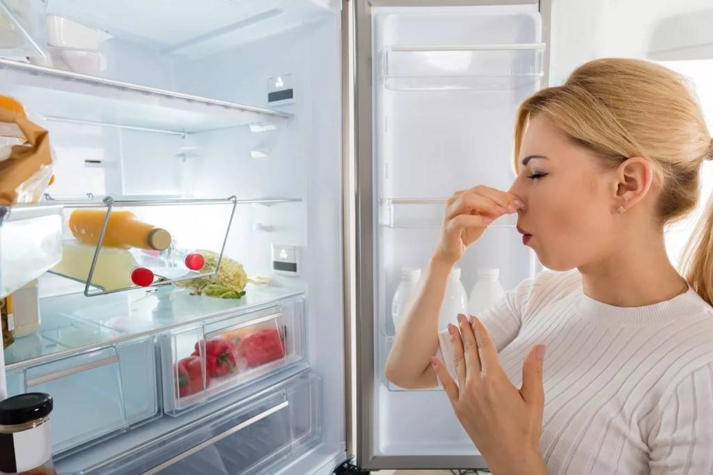 Как устранить запах в морозильной камере холодильника: 11 методов