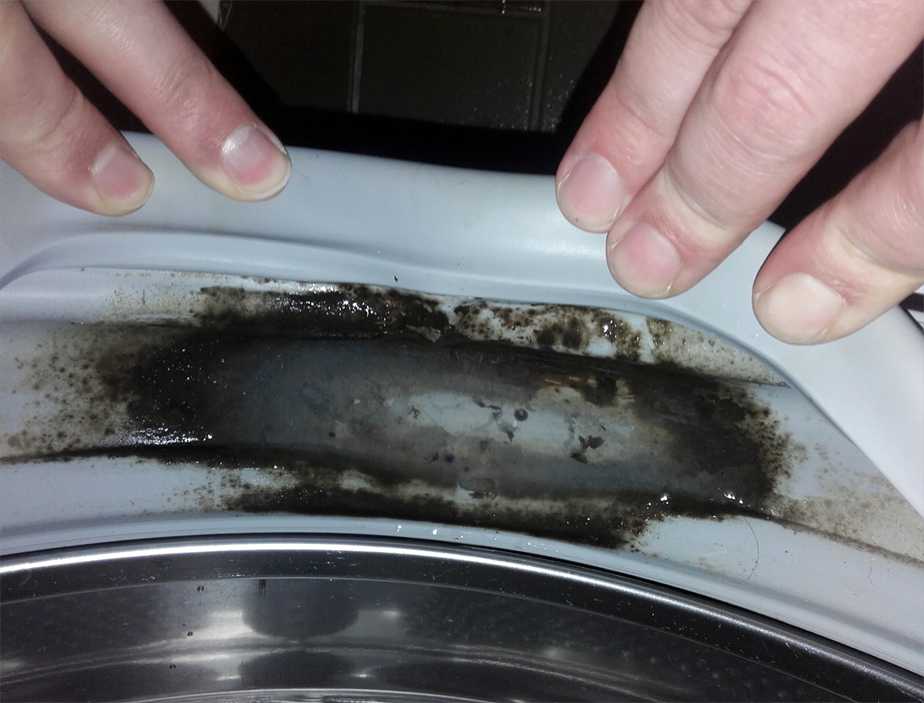 Плесень в стиральной машине – как избавиться? - xclean.info
