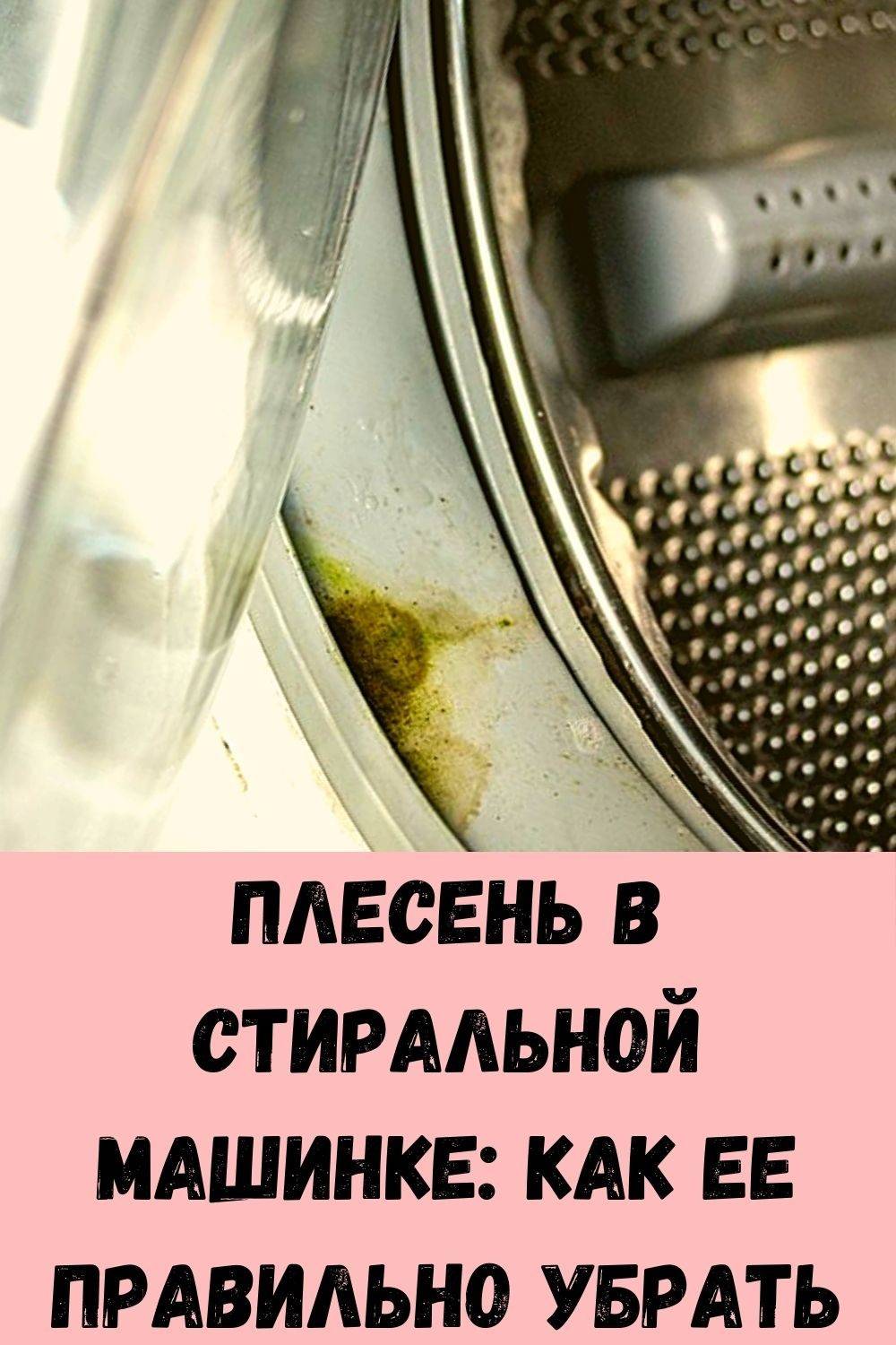 Плесень в стиральной машине: как избавиться и очистить, 10 лучших средств