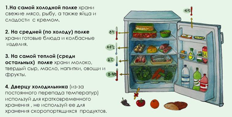 Как правильно хранить продукты в холодильнике - советы и правила