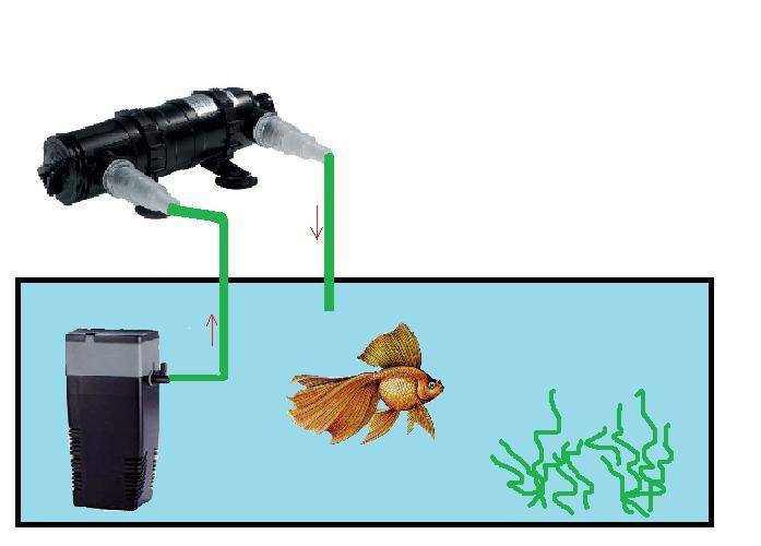 Уф стерилизатор для аквариума: принцип, плюсы и минусы