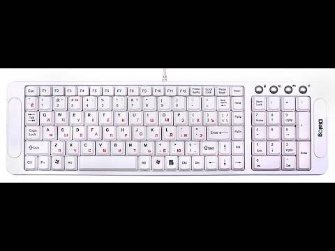Не работает клавиша fn на ноутбуке — что делать